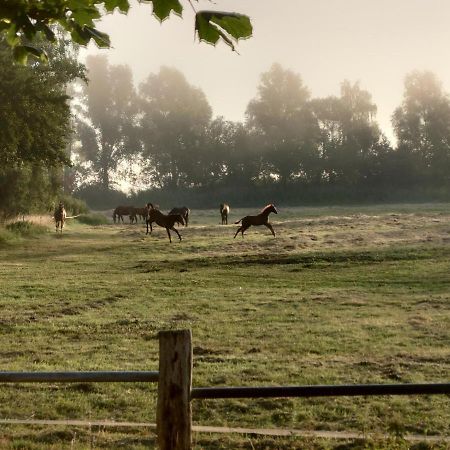 Kleenes Haffhus Ueckermünde Eksteriør bilde